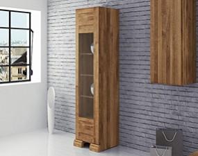 Schmale Vitrine SETI